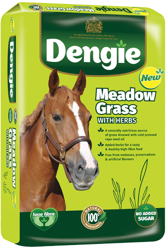 Dengie Meadow Grass