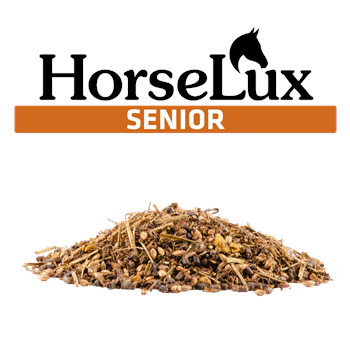 Horselux Senior