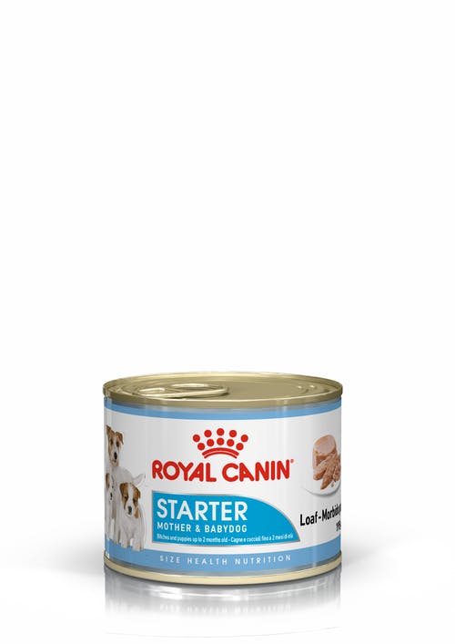 Royal Canin Starter Mousse