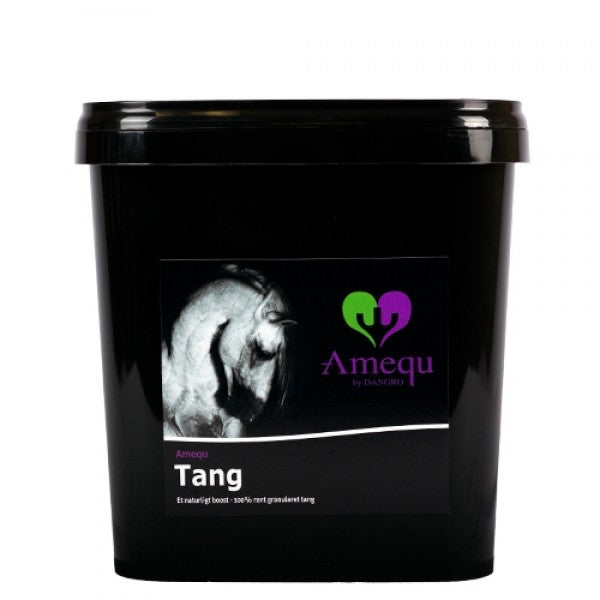 Dangro Nordic Amequ Tang