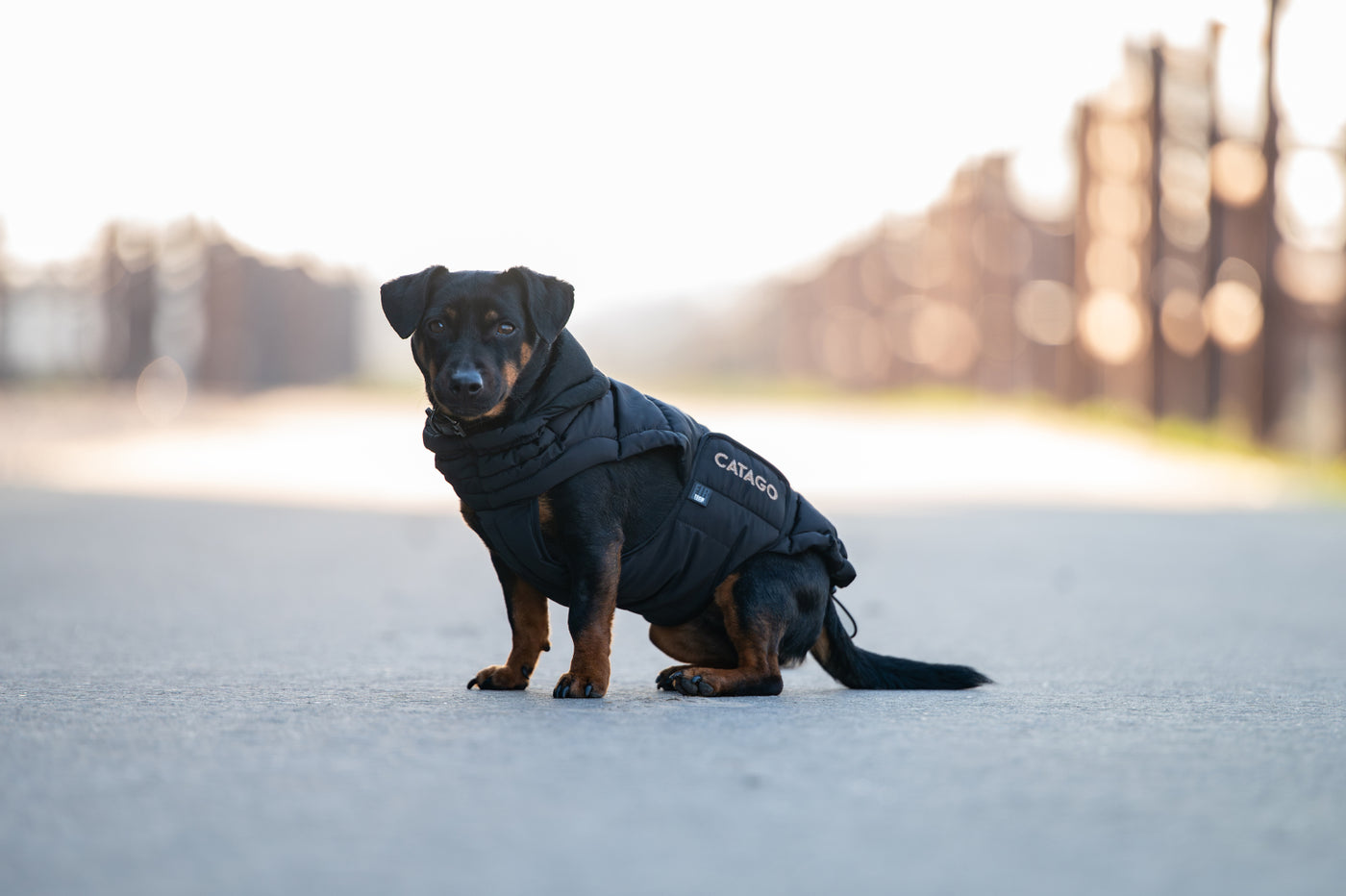 Catago FIR-Tech Puffer Hundedækken