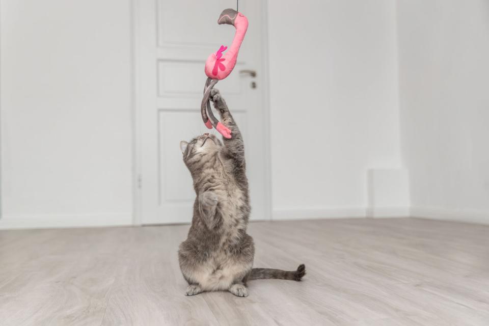 Trixie Teleskop Drillepind Flamingo