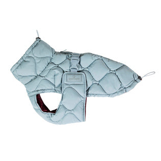 Kentucky Dog Coat Winter Pina