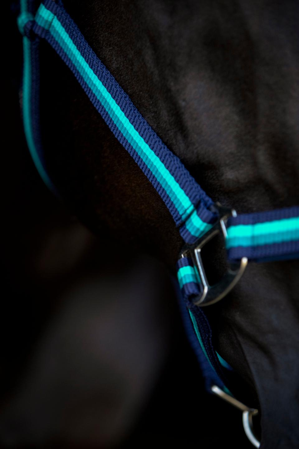 HorseGuard HG Striped Halter