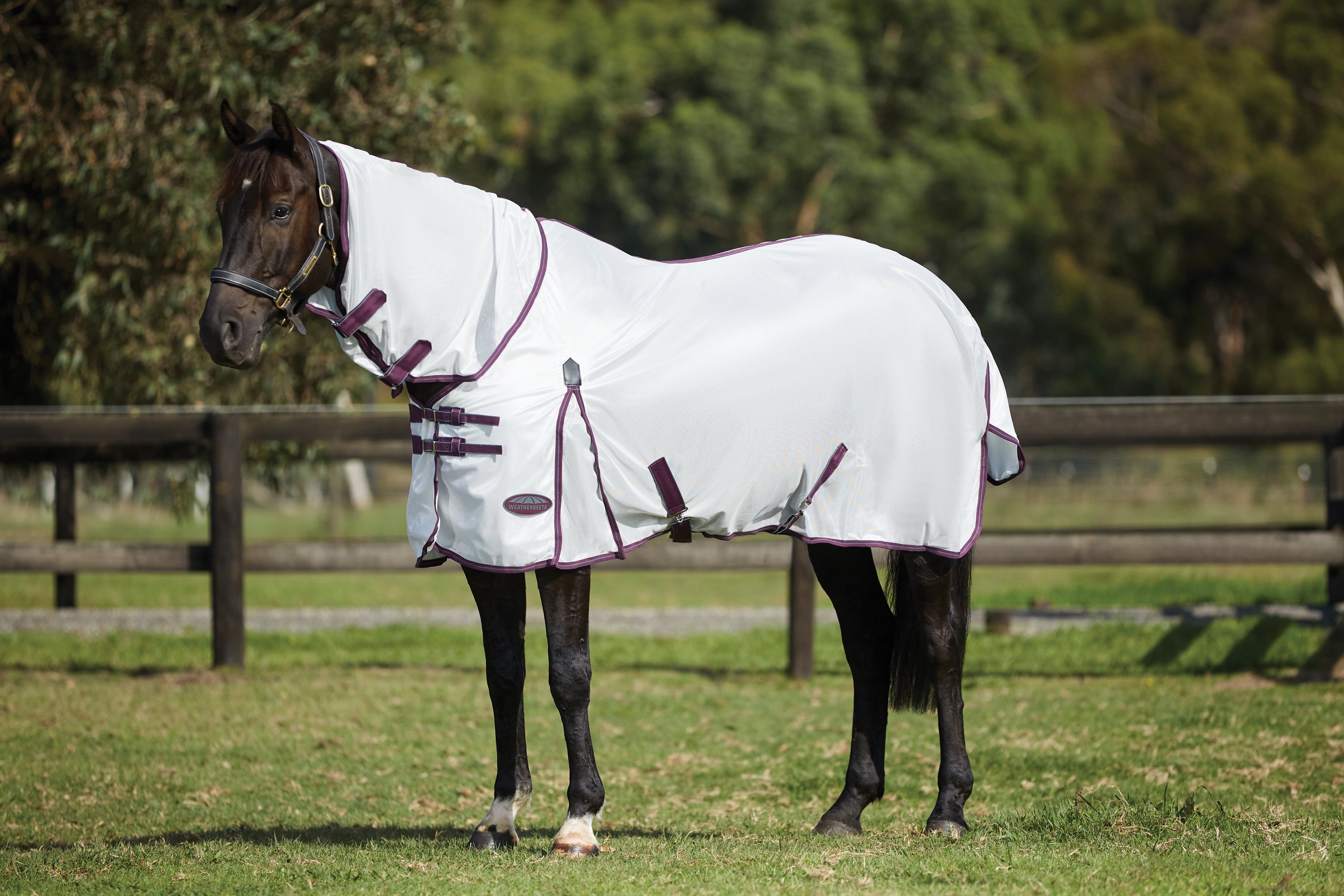 Weatherbeeta Comfitec Essential Mesh II Combo Neck