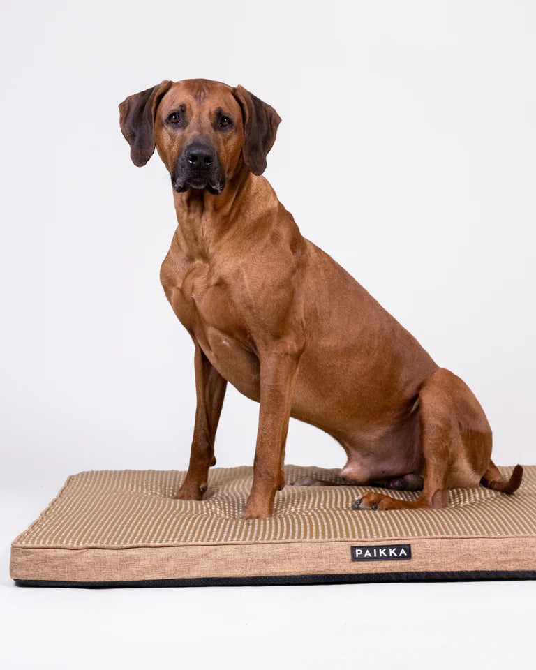 PAIKKA Cooling Orthopedic Mattress
