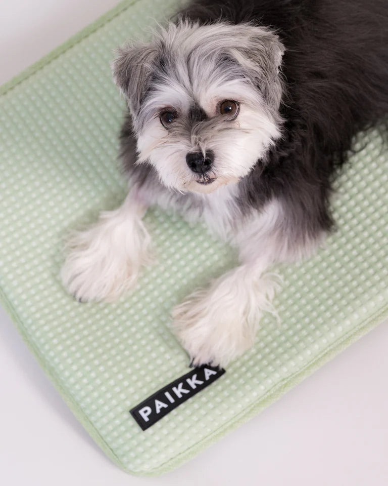 PAIKKA Cooling Blanket