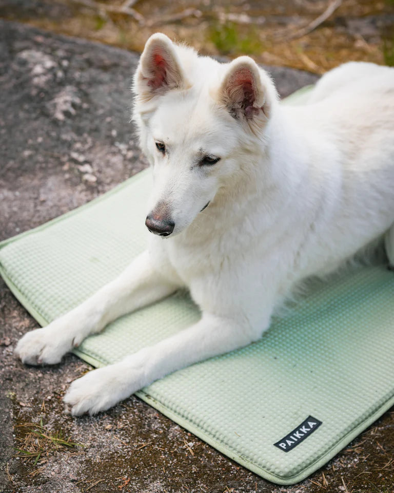 PAIKKA Cooling Blanket