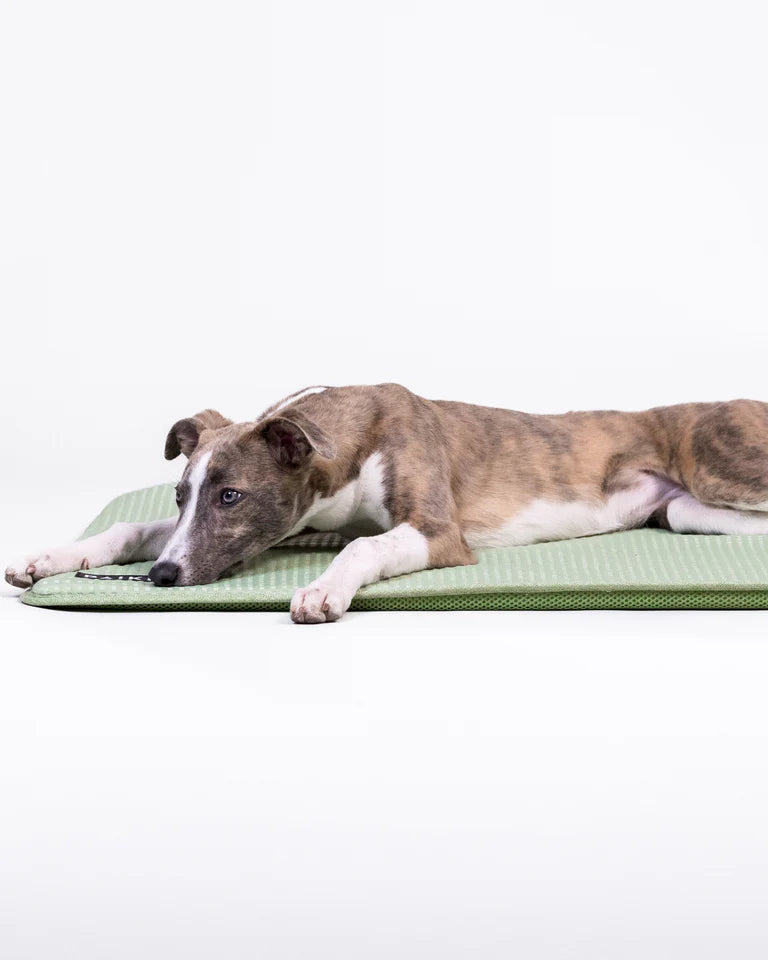 PAIKKA Cooling Blanket