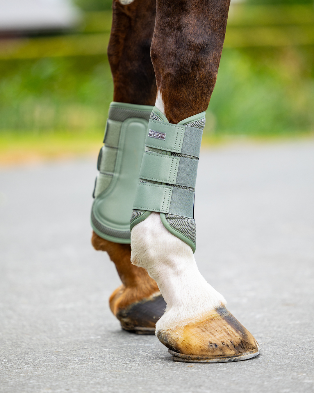 Equestrian Stockholm Classic Mesh Brushing Boots Pistachio White
