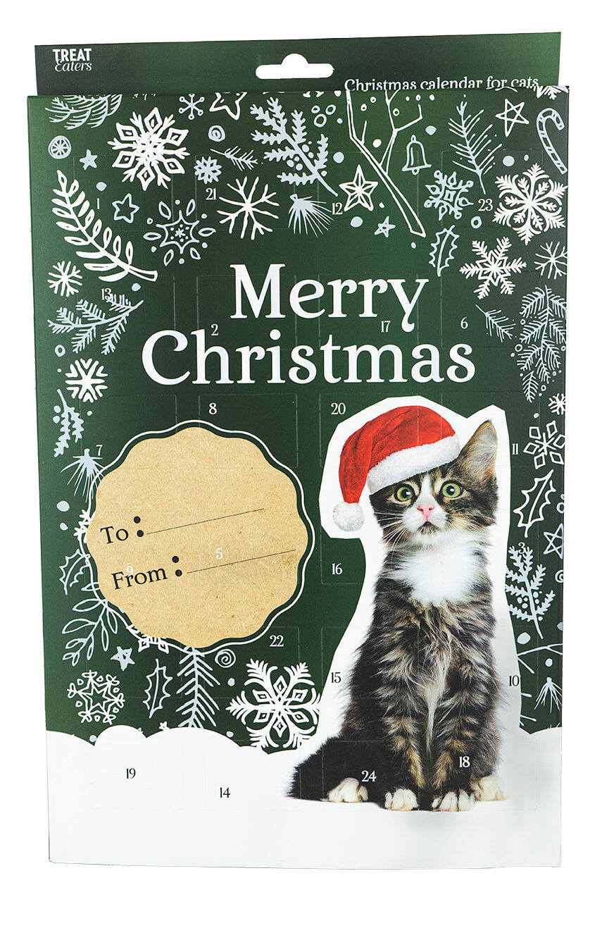 Treateaters Julekalender Kat