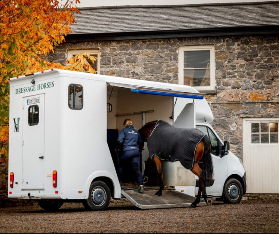 Horseware Autumn Cooler
