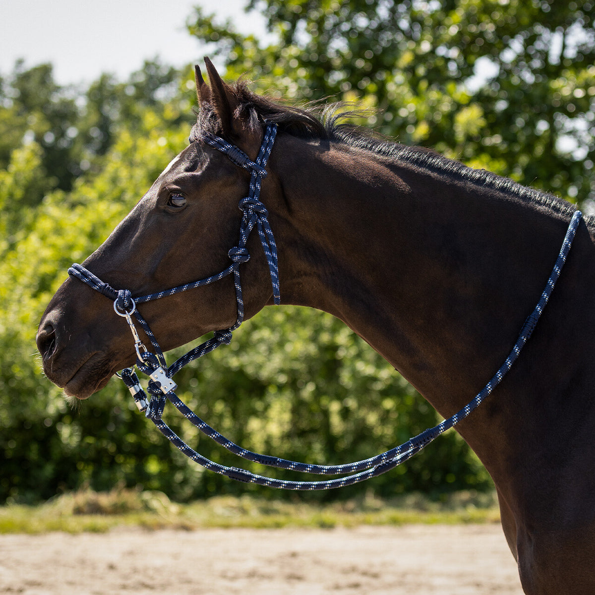 QHP Rope Halter Aubree With Rein