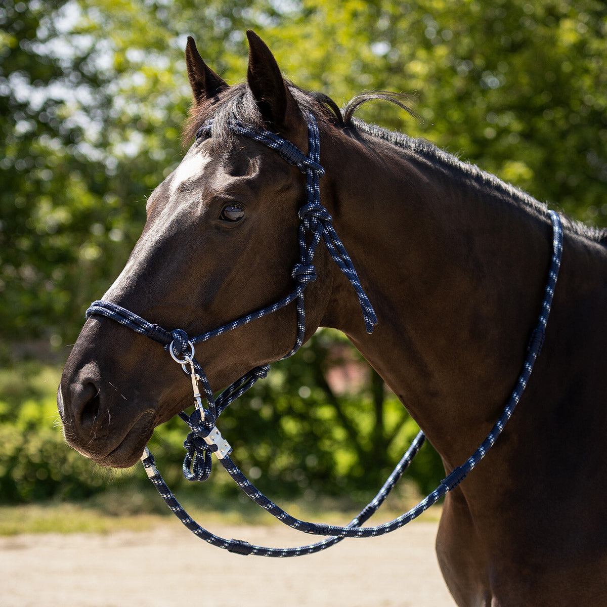 QHP Rope Halter Aubree With Rein