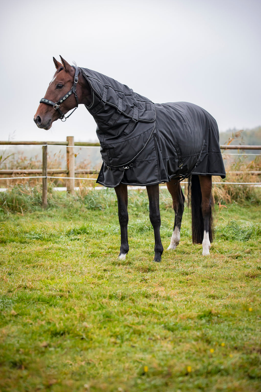 Catago Endurance 2.0 Turnout dækken 150g.