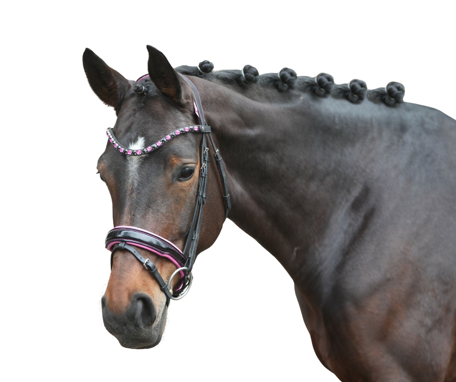 HKM Bridle Manchester