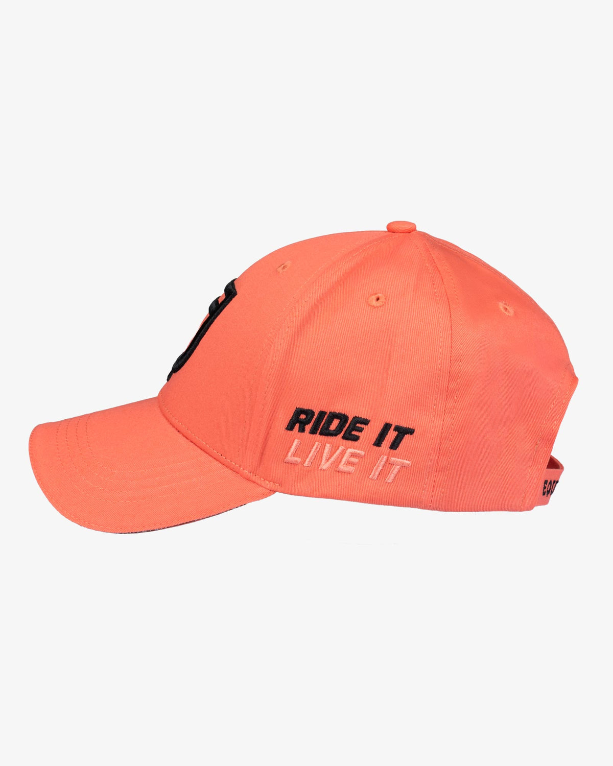 Equestro Cappello Nouva Collezione