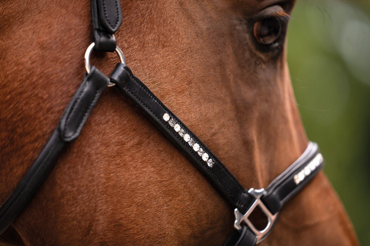 HKM Leather head collar Sparkle