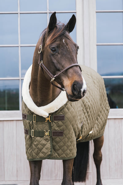 Kentucky  Show Rug