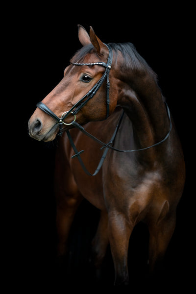 HorseGuard Cryll 25.2 Hannoveransk Trense