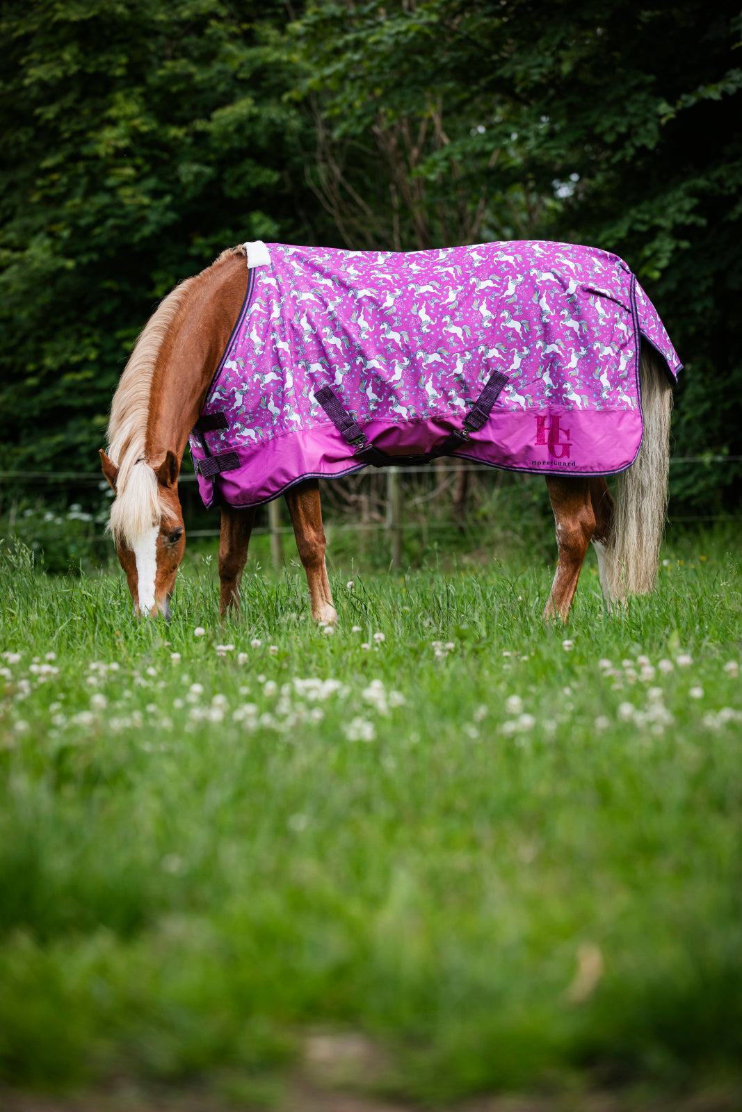HorseGuard Josh Unicorn Turnout Rug 0 g.
