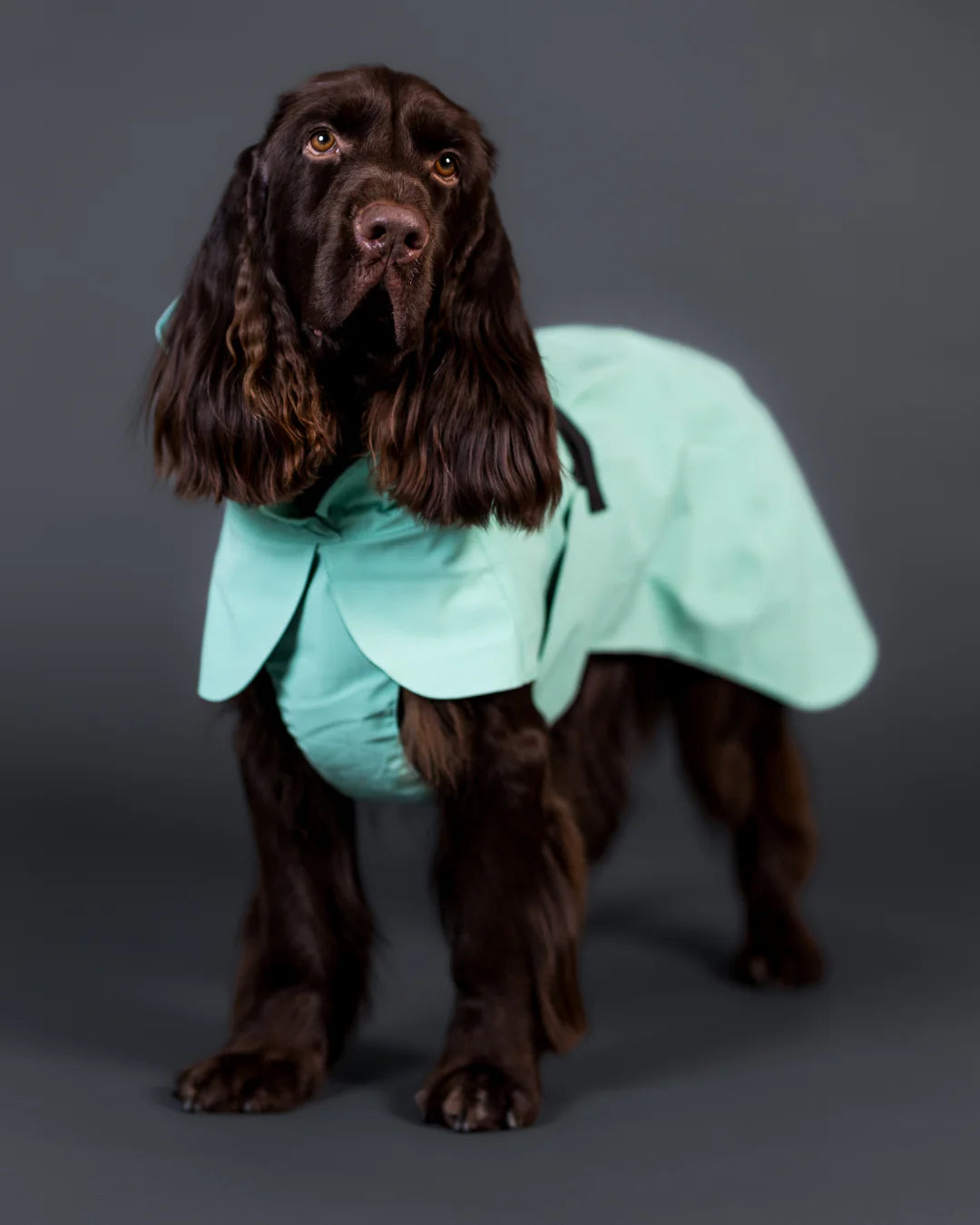PAIKKA Visibility Raincoat
