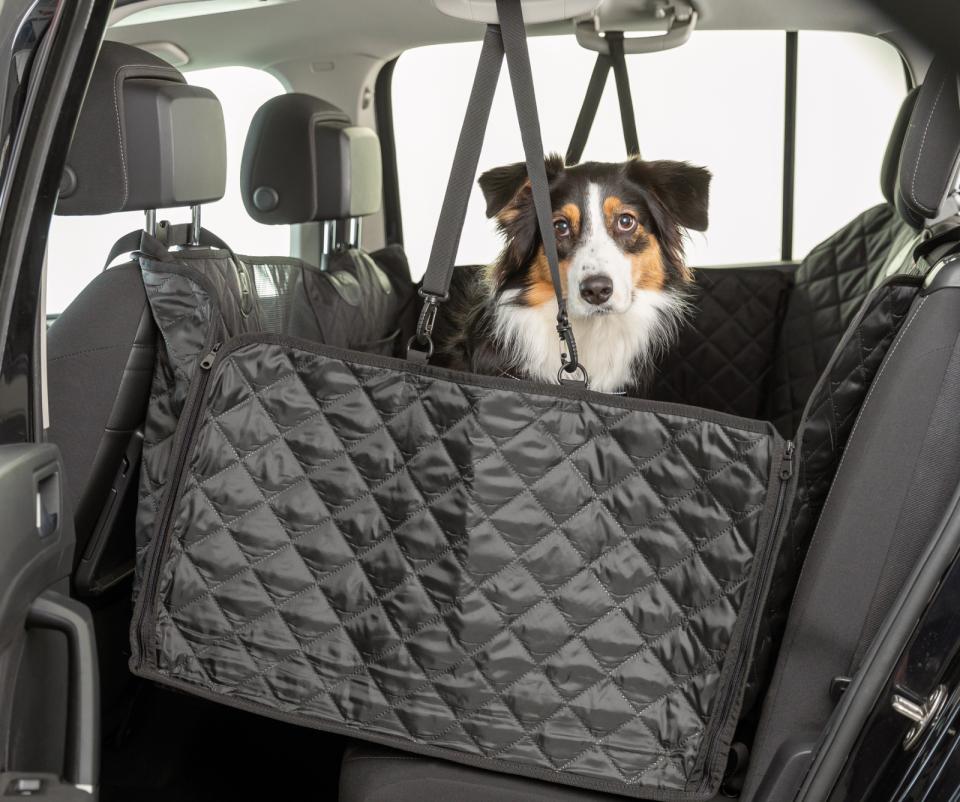 Trixie Car Seat Cover