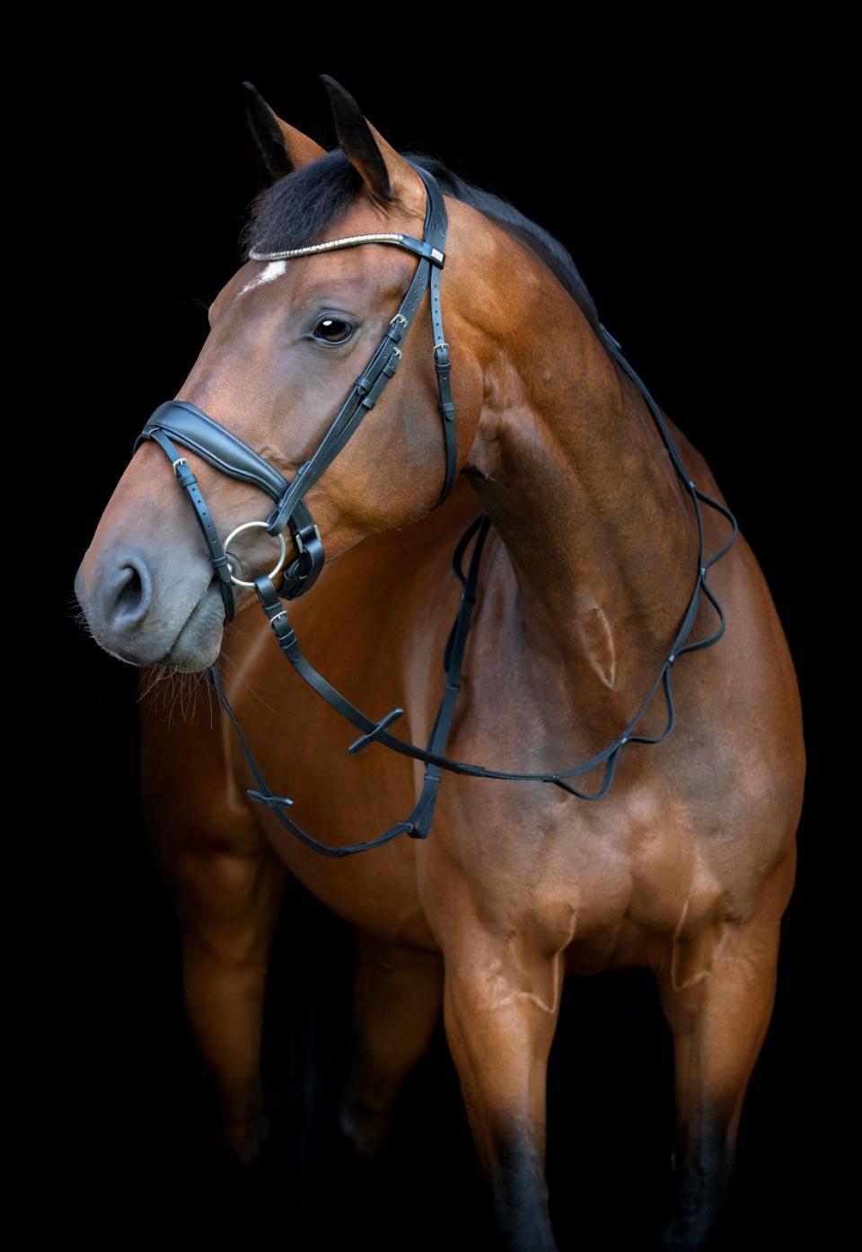 HorseGuard Loop Tøjler