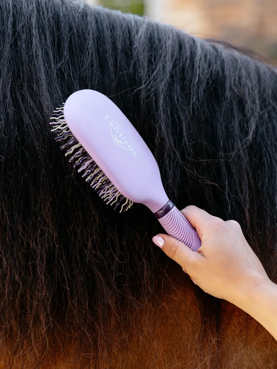 LeMieux Tangle Tidy Man og Halebørste