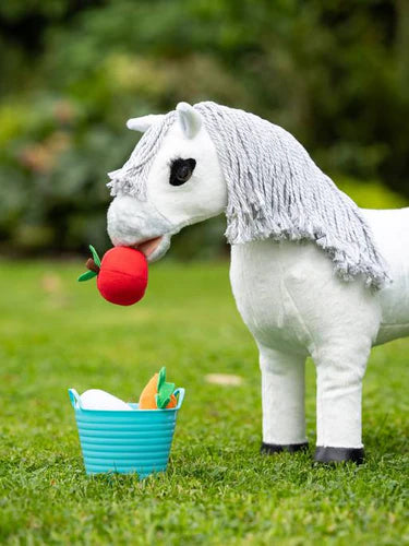 Mini Pony Treat Bucket