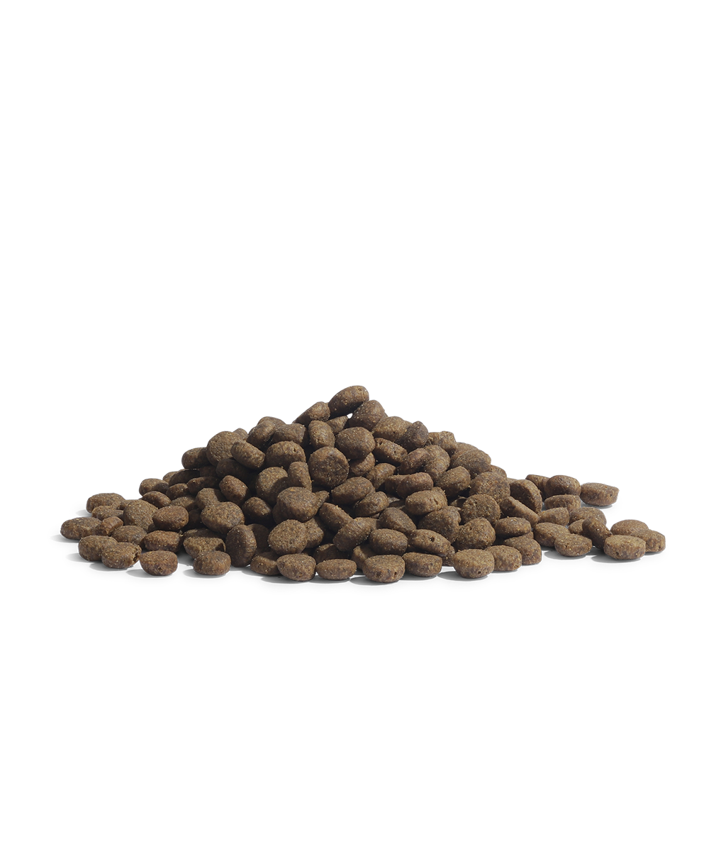 Essential Foods The Panther