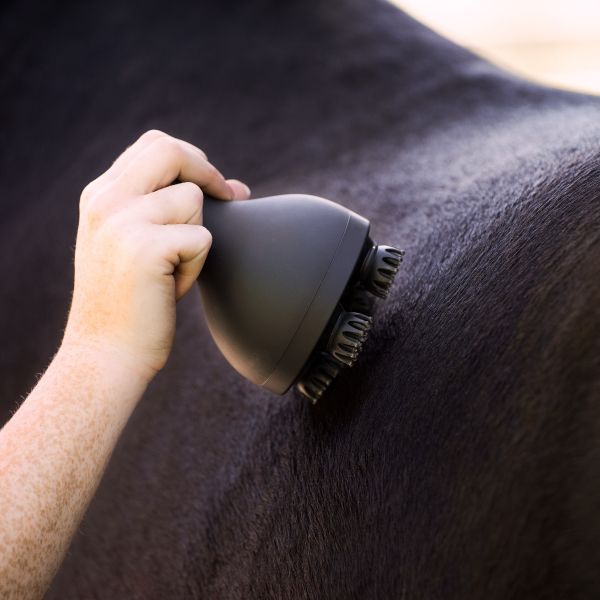 Imperial Riding IRHVolta Grooming & Relaxation Brush