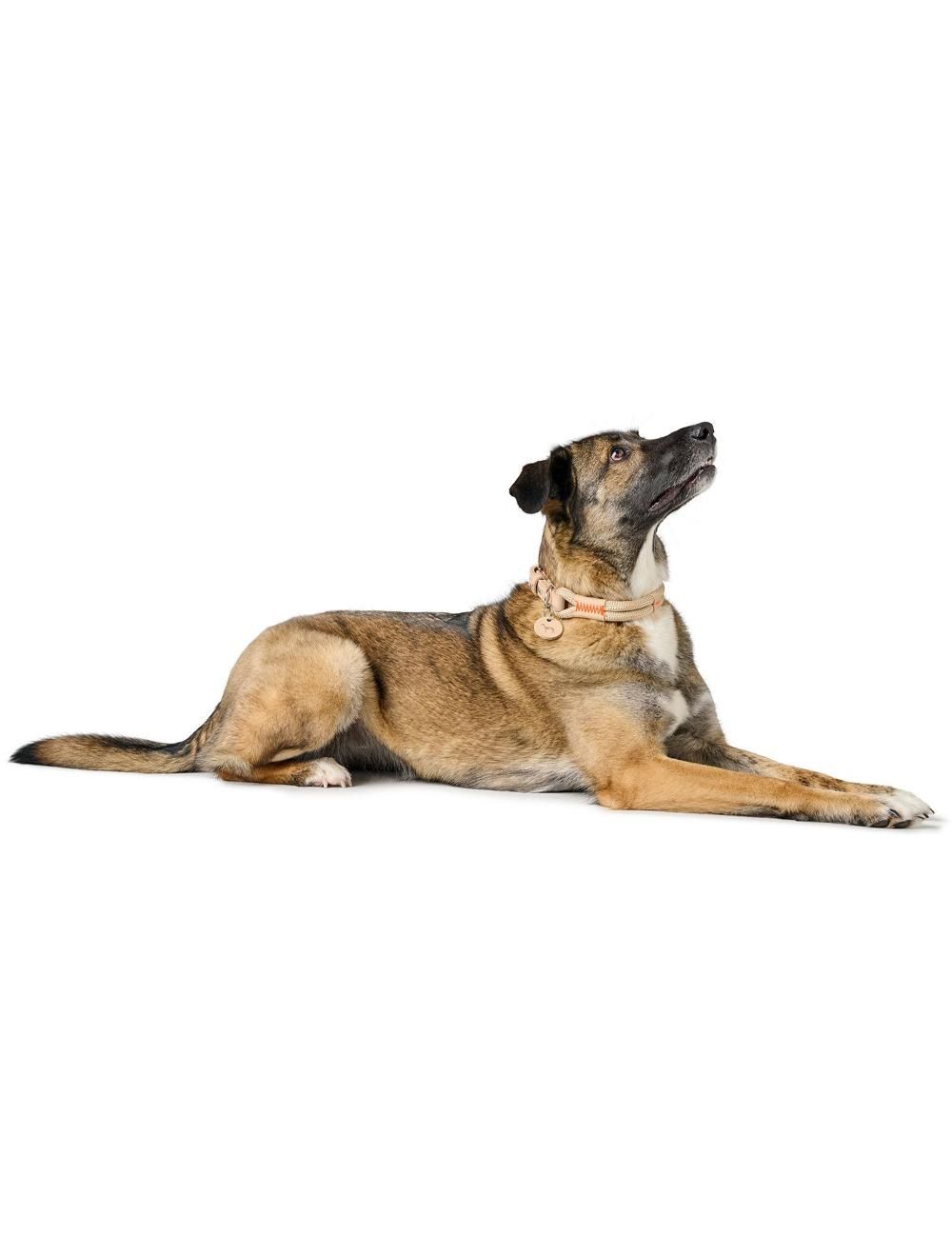 Hunter Malia Hundehalsbånd