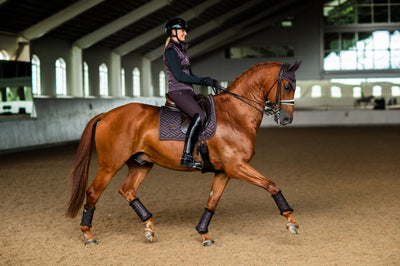 Equestrian Stockholm Moonless Night Dressage saddle Pad