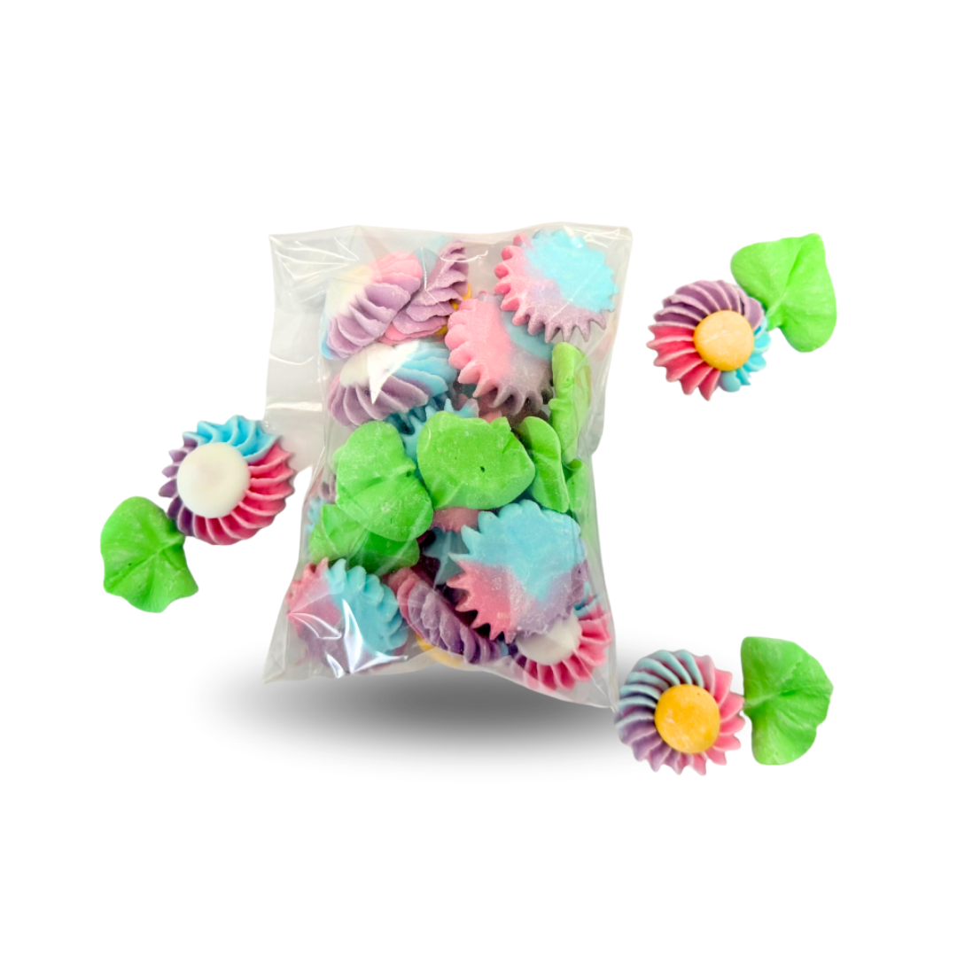 Candy Horse Rainbow World Sweets