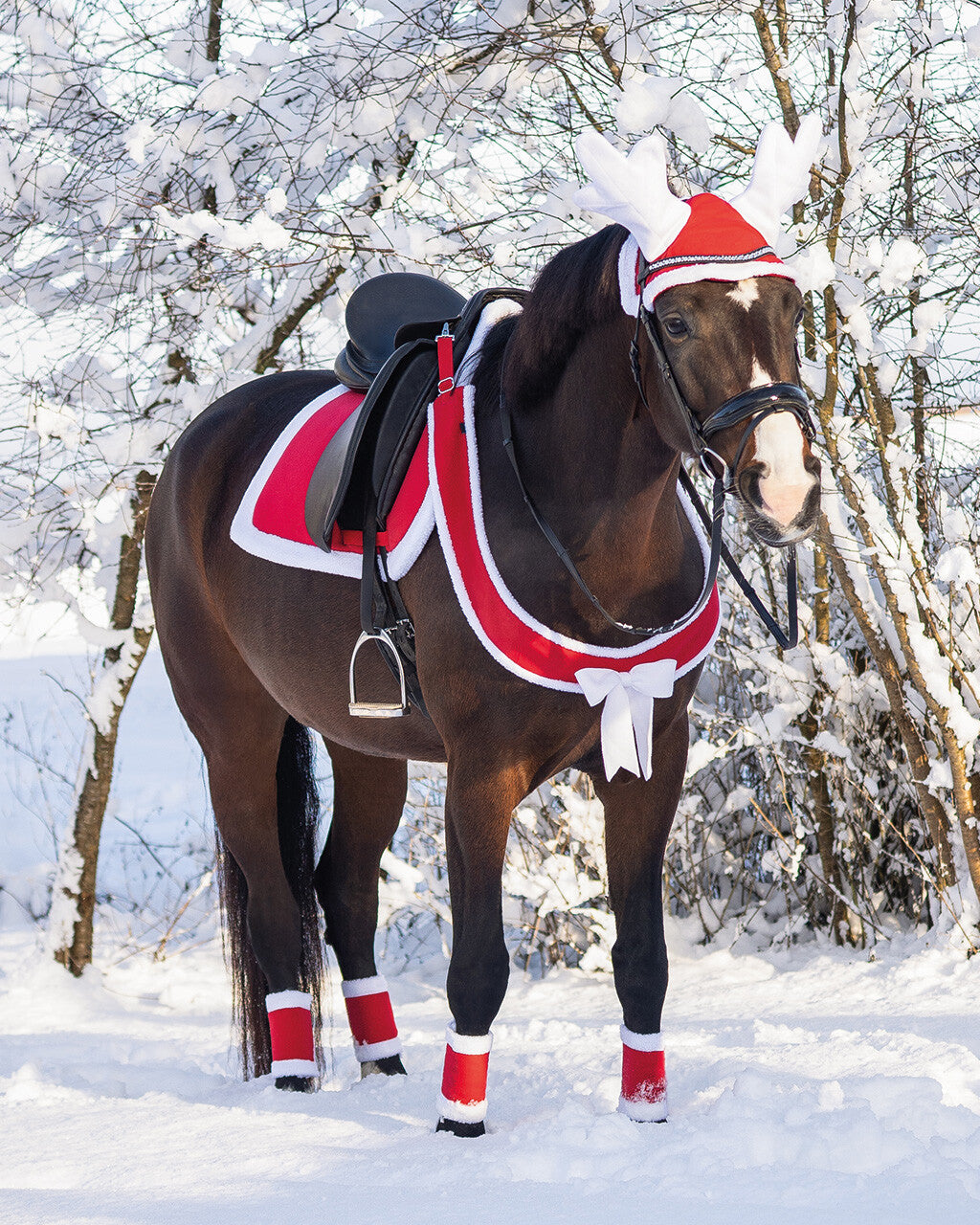 QHP Julebånd til hest