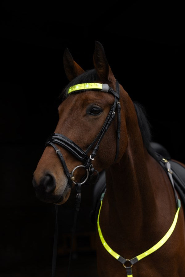 Covalliero LED Refleks Til Pandebånd