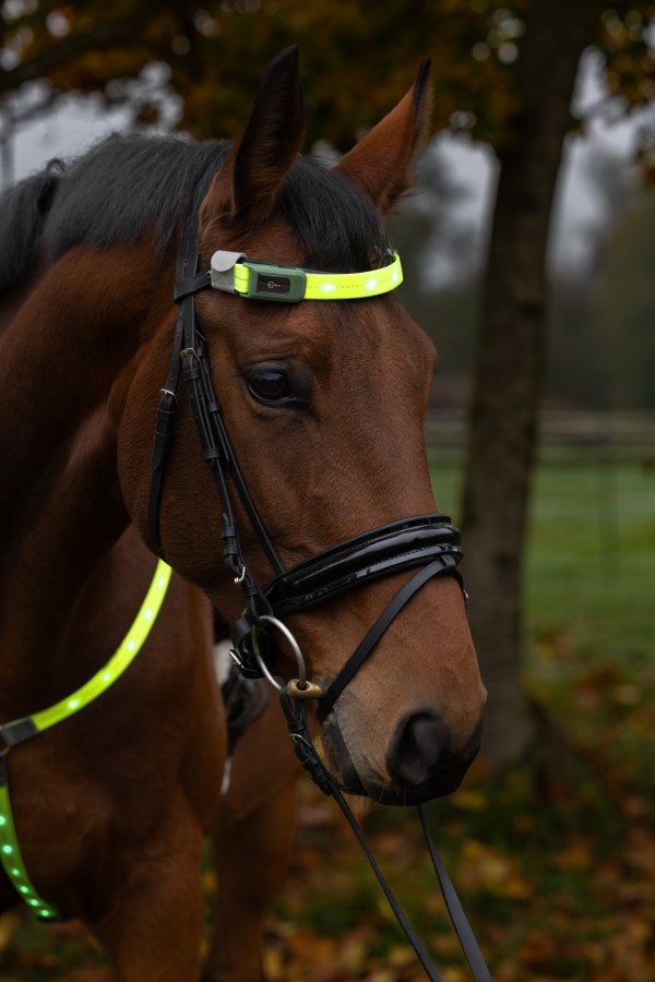 Covalliero LED Refleks Til Pandebånd