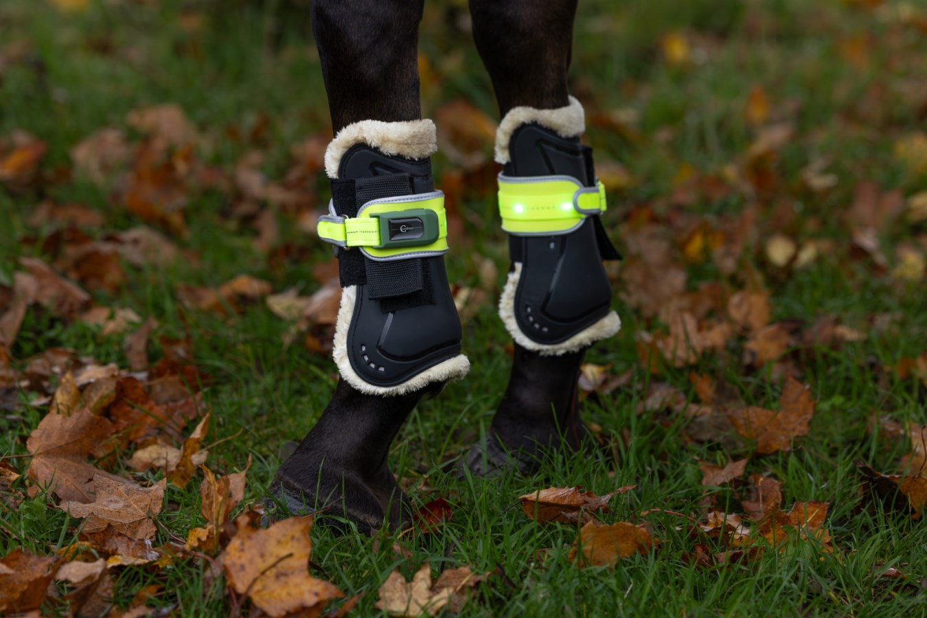 Covalliero LED Refleks Til Gamacher