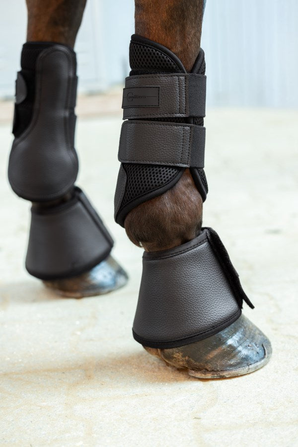 Covalliero Avina Gamacher