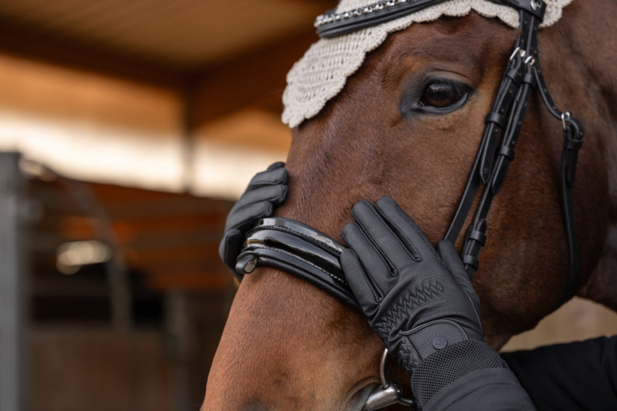 Covalliers Riding Gloves