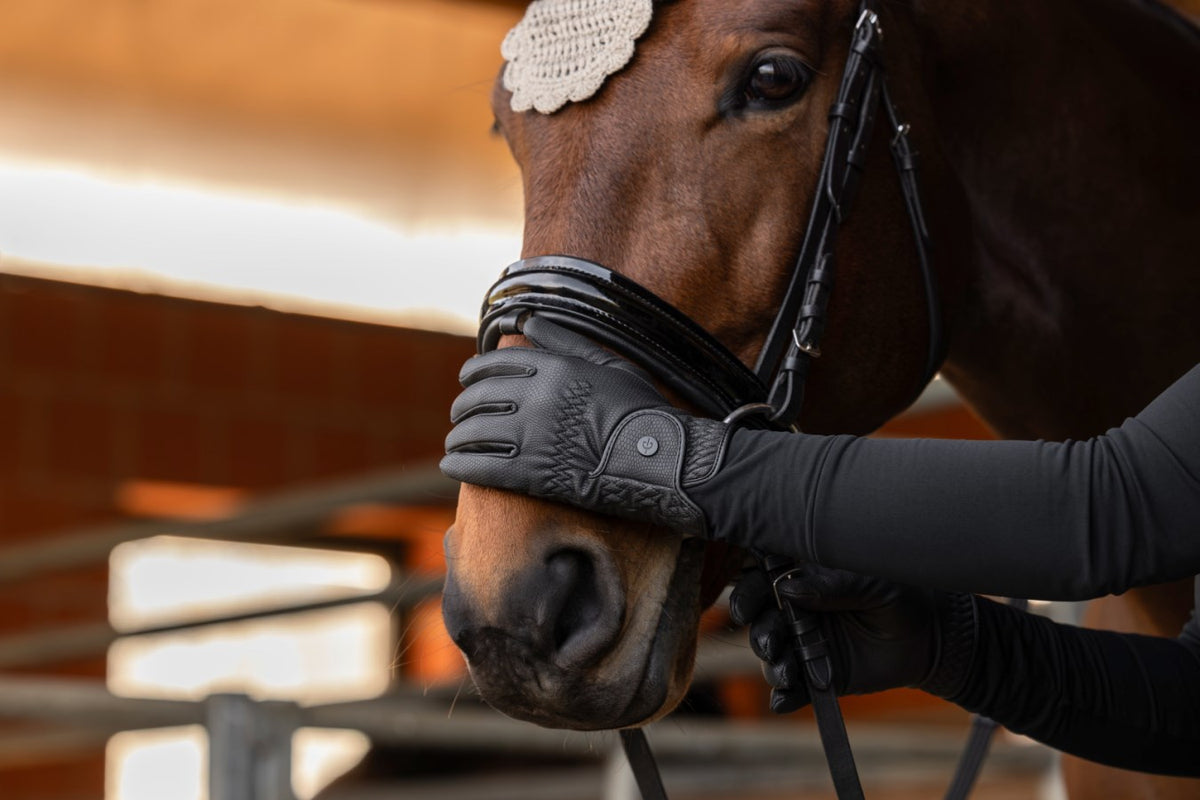 Covalliers Riding Gloves