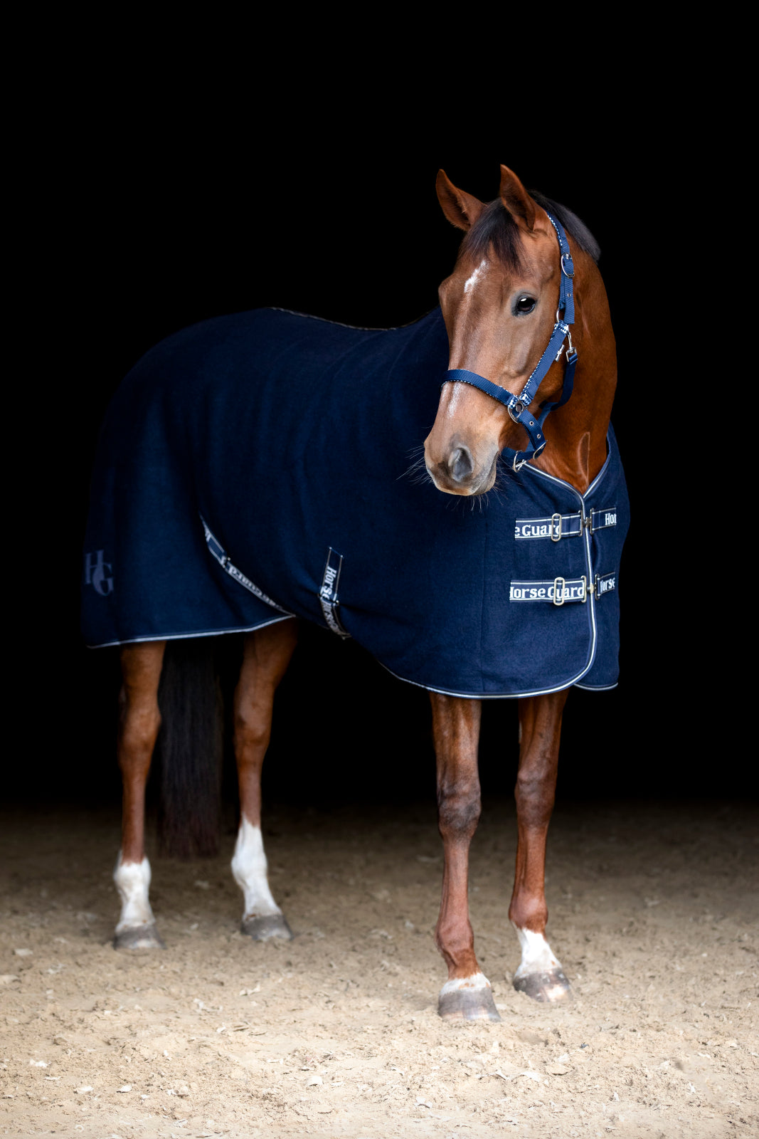 HorseGuard Veda Wool Rug