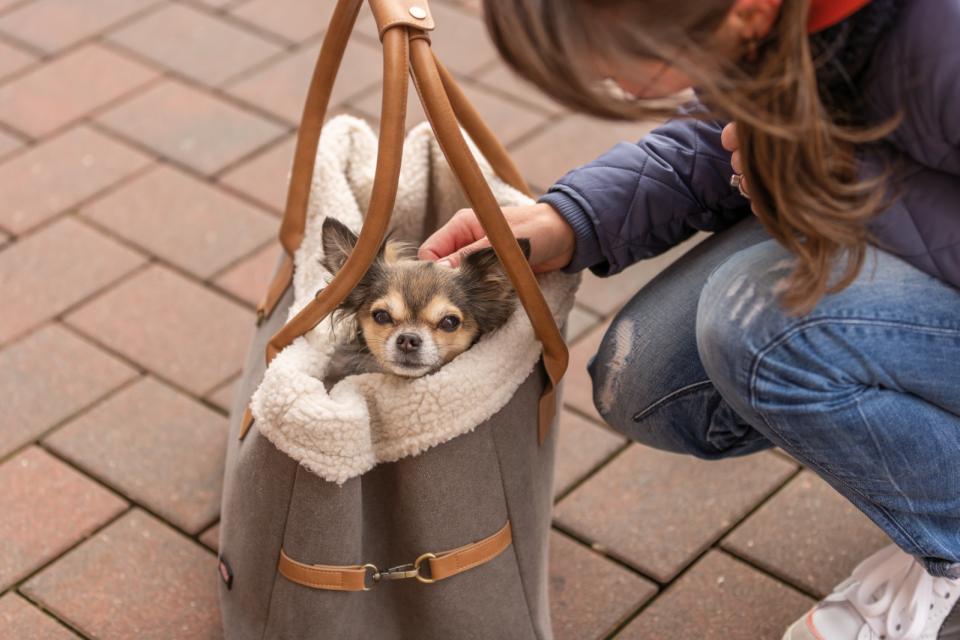 Trixie Rachel Carrier Hundetaske