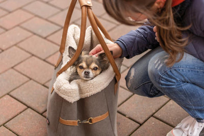 Trixie Rachel Carrier Hundetaske