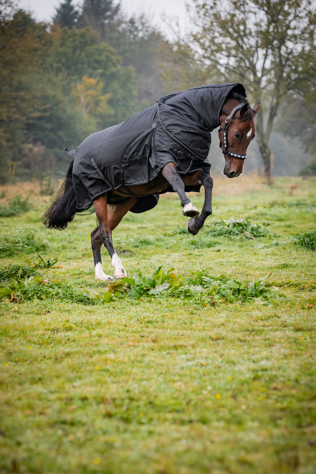 Catago Endurance 2.0 Turnout dækken 300g.
