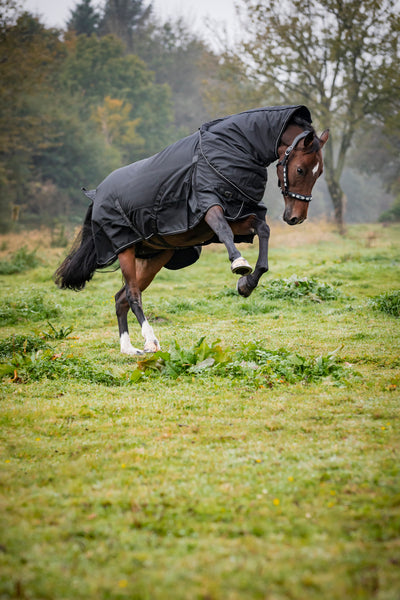 Catago Endurance 2.0 Turnout dækken 300g.