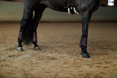 Equestrian Stockholm Endless Glow Brushing Boots