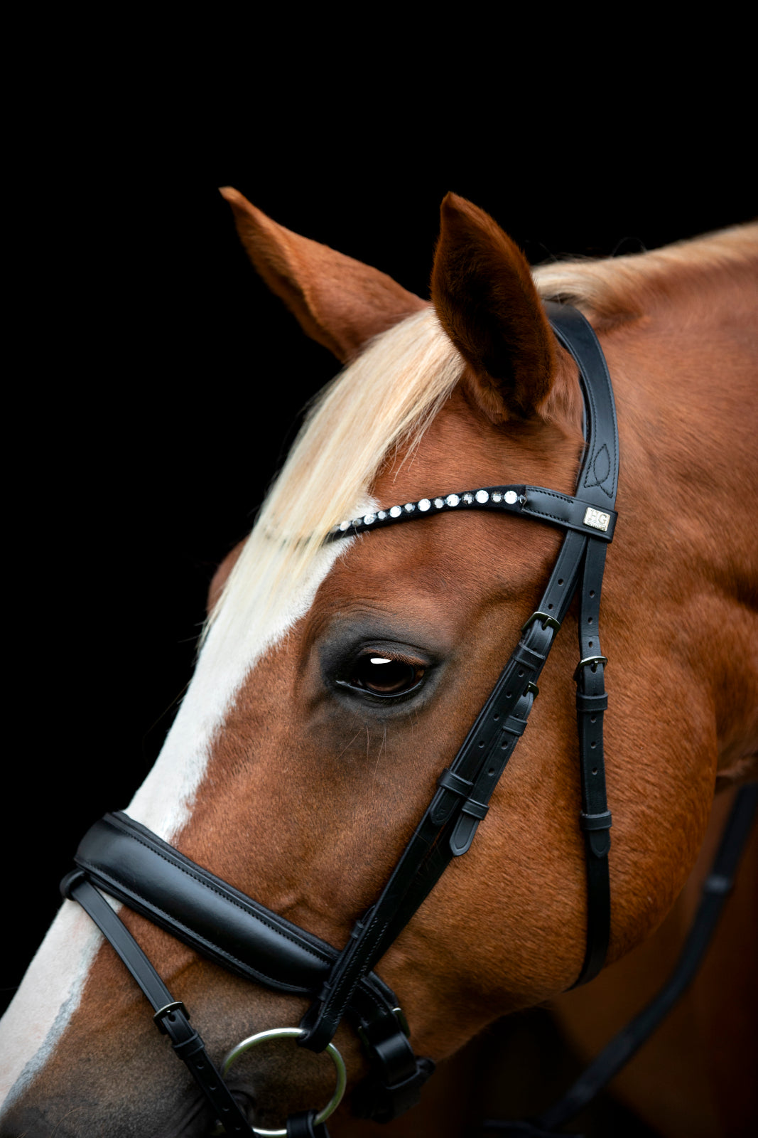 HorseGuard EMI 25.2 Kombineret Trense m. Tilbagetræk