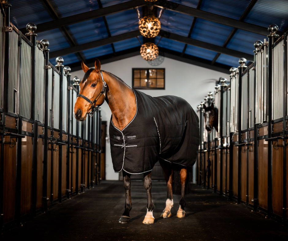Horseware Rambo Stable Rug 400G.